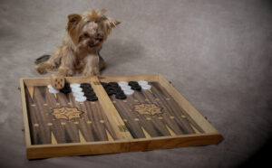 Backgammon game